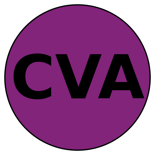 CareerValue Advisors